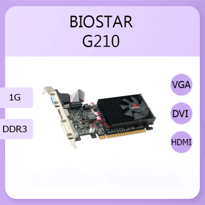 BIOSTAR G210 1G