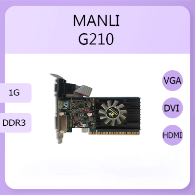 manli G210 1G D3