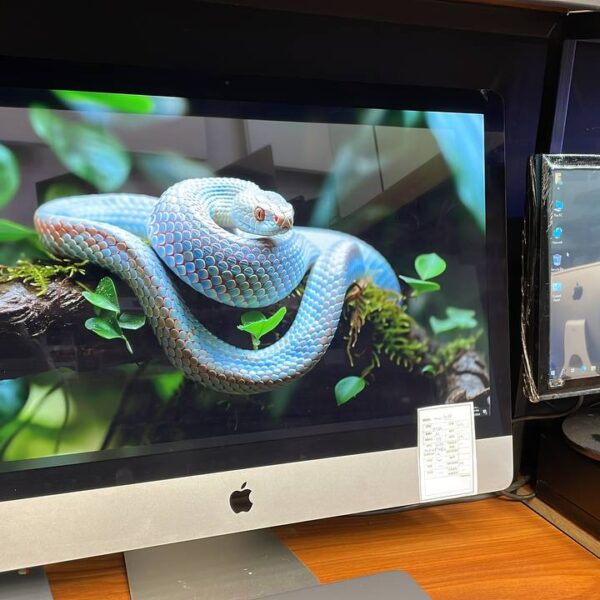 کامپیوتر همه کاره اپل core i5 دسته دوم